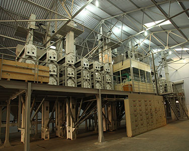 State-of-the-art Grain & Spice Sortex Plant - VASPL